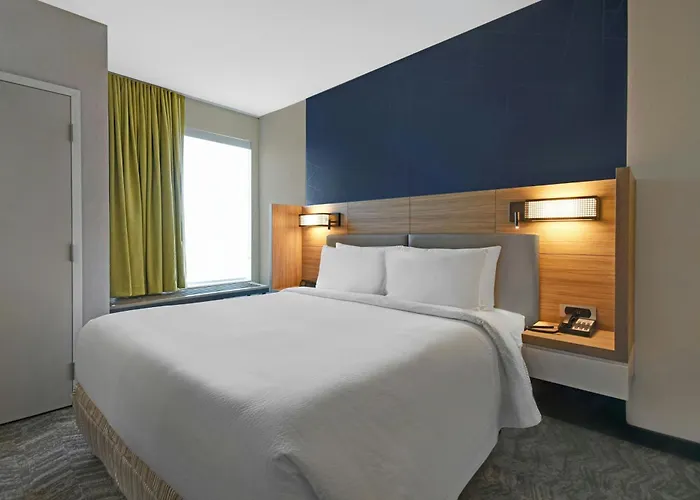 Springhill Suites By Marriott St. Paul Arden Hills
