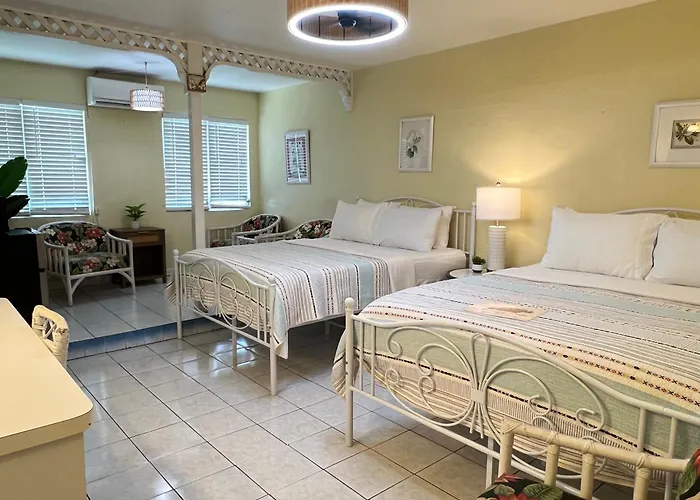 The Green Iguana Hotel Charlotte Amalie