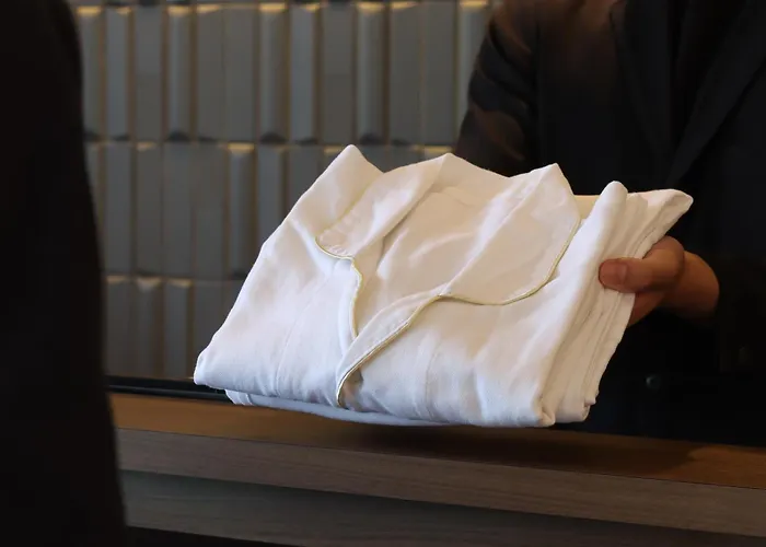 Hotel Wander Kyoto Nanajo