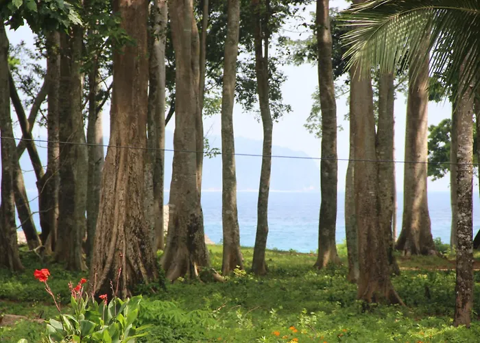 Pearl Park Beach Resort Private Limited Port Blair