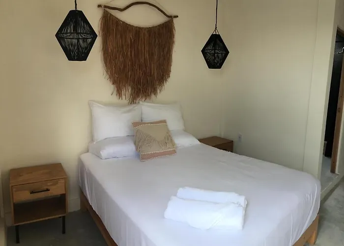 Black Flamingo Holbox