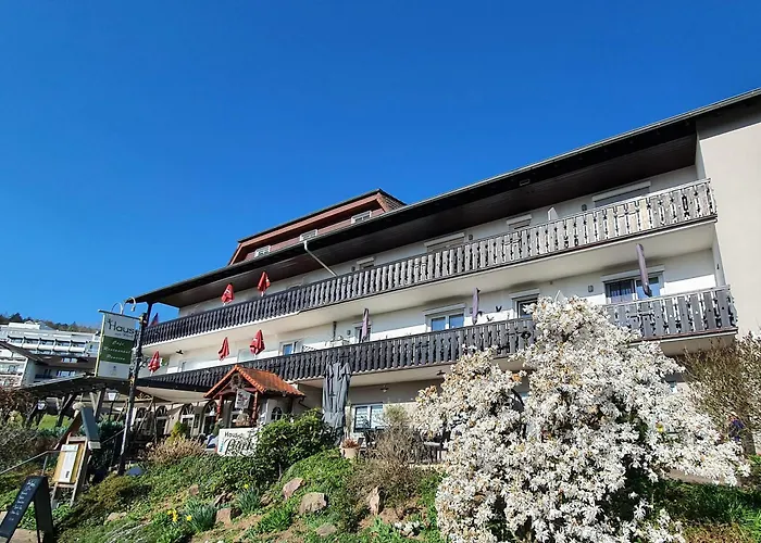 Hotel Haus am Park Bad Soden-Salmünster