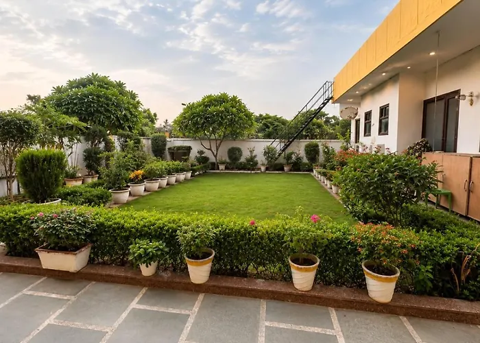 Lime Tree Studio Near Fortis Gurgaon