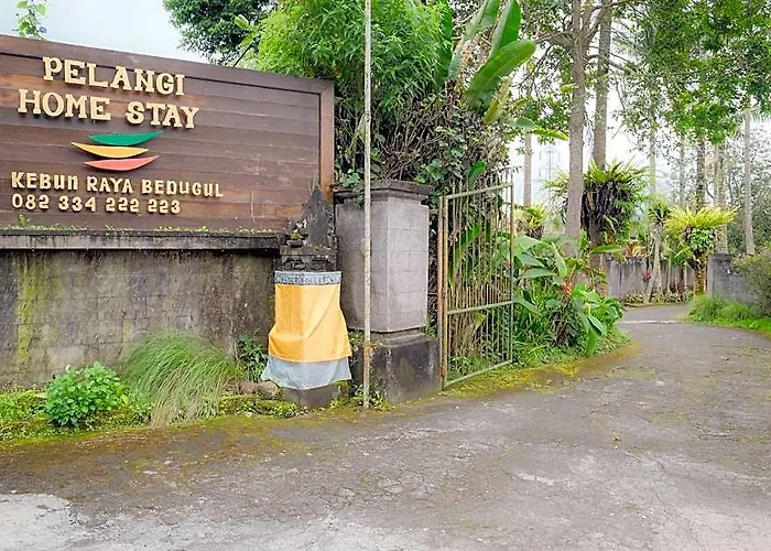 Pelangi Homestay Bedugul Redpartner BALI