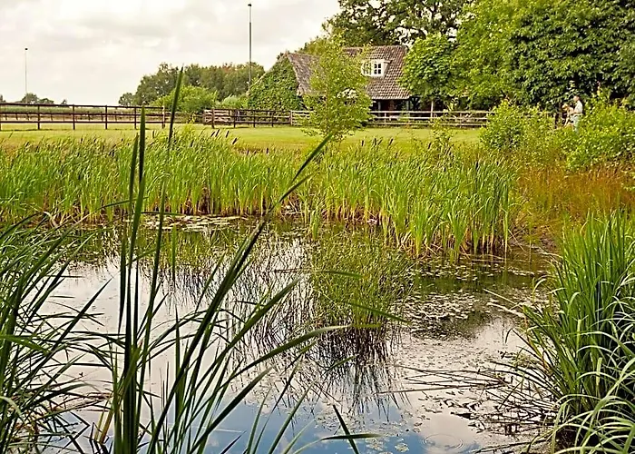 Landrop Bed & Breakfast Hoogeloon