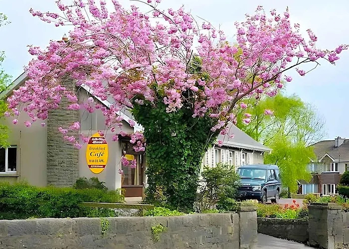 Ach Na Sheen Guest House Tipperary
