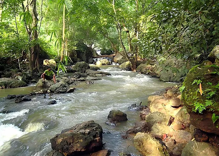 Bison River Resort Dandeli