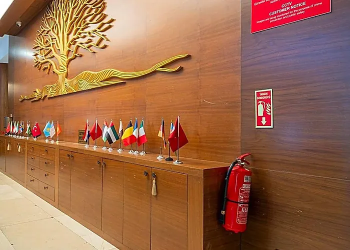 Elit Suits Pendik İstanbul