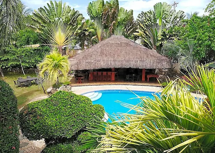 Alona Golden Palm Hotel BOHOL