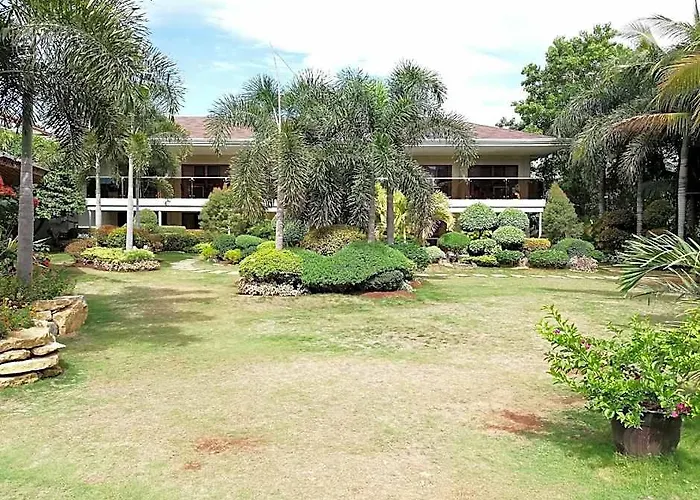 Alona Golden Palm Hotel BOHOL