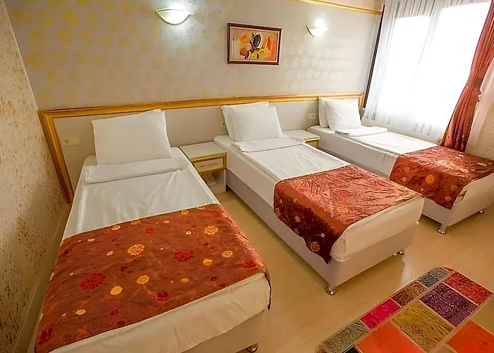 Istanbul Dedem Hotel 1