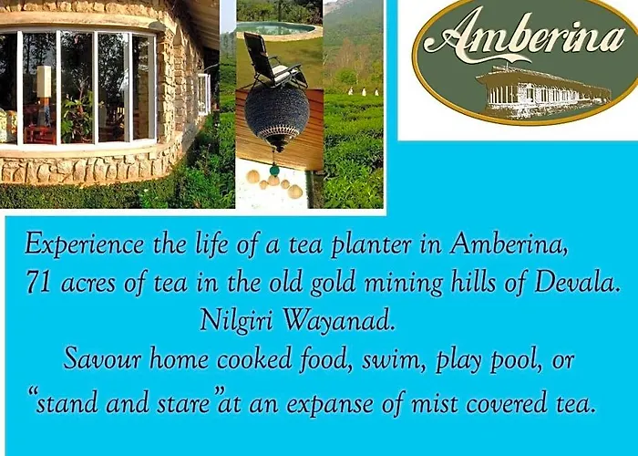 Amberina Homestay - Gudalur Ooty