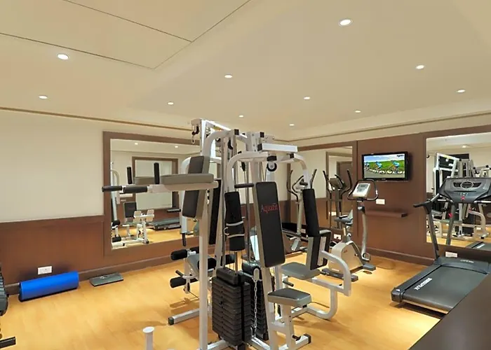 Inde Hotel Huda City Centre Vista Woods Gurgaon