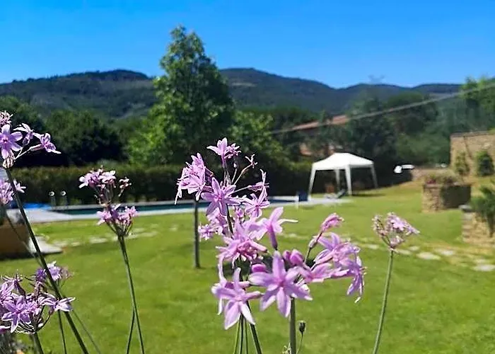 Alba Morus Bed & Breakfast, Sentiti A Casa Nel Cuore Della Toscana Arezzo