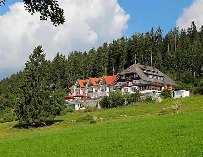 JUFA Hotel Schwarzwald Lenzkirch
