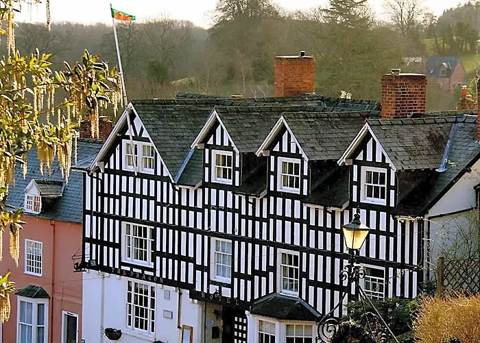 The Dragon Hotel Montgomery