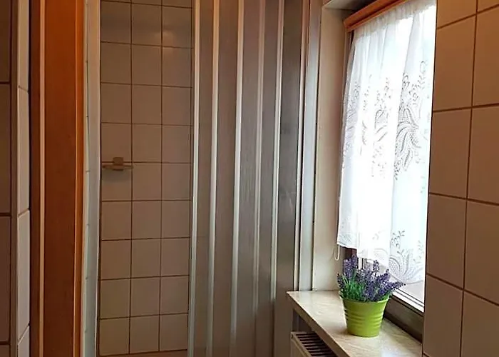 Gasthaus Goldner Löwe Saalburg