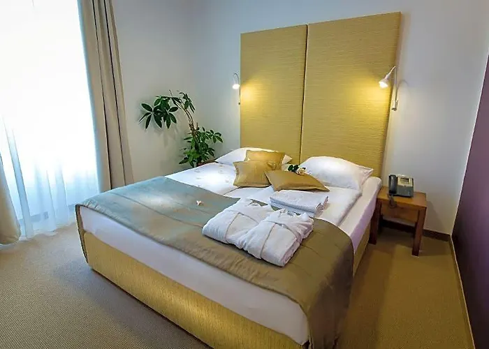 Hotel Rimski Dvor - Rimske Terme Rimske Toplice
