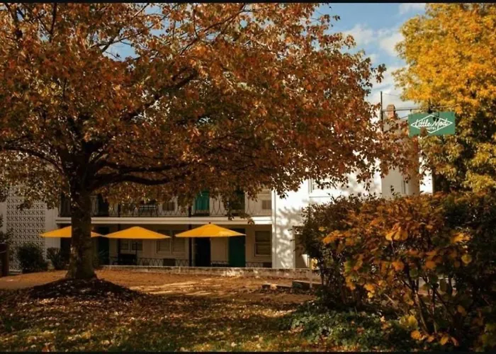 Little Mod Hotel At The University Charlottesville