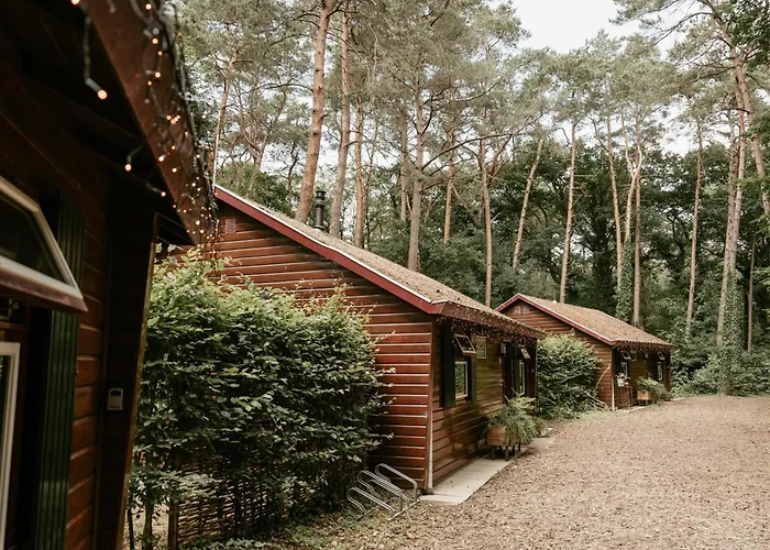 Prachtige chalets by Bed en Boshuisjes Oisterwijk