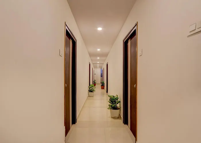 Collection O De Alphabet Hotel Ecil Hyderabad