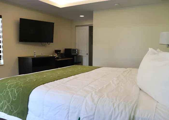 Curtis Inn & Suites Hollywood