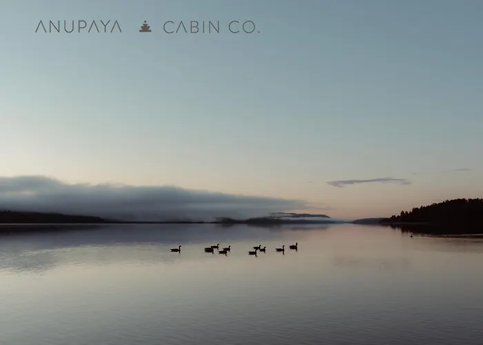 Anupaya Cabin Co Deep River