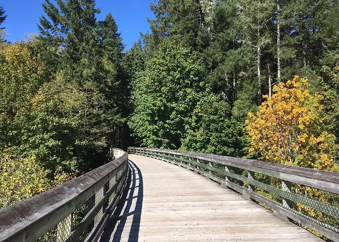 Owl'S Perch Treehouse Hotel Sooke