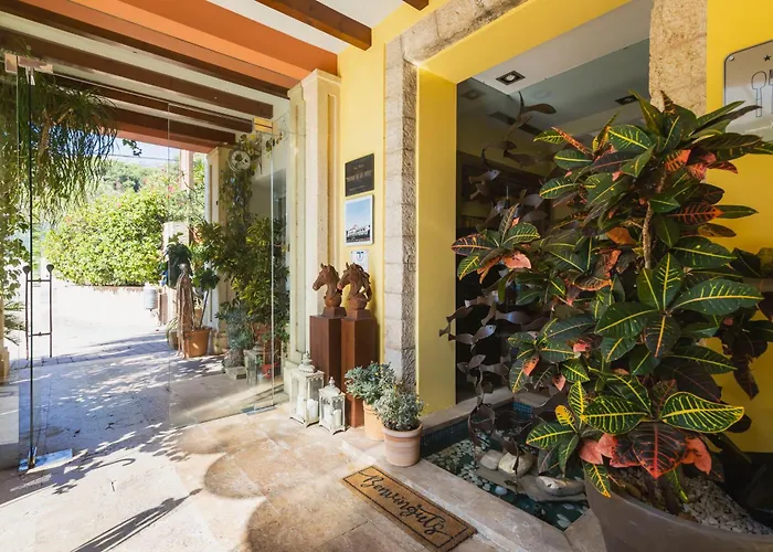 Hotel Mr Les Rotes Denia