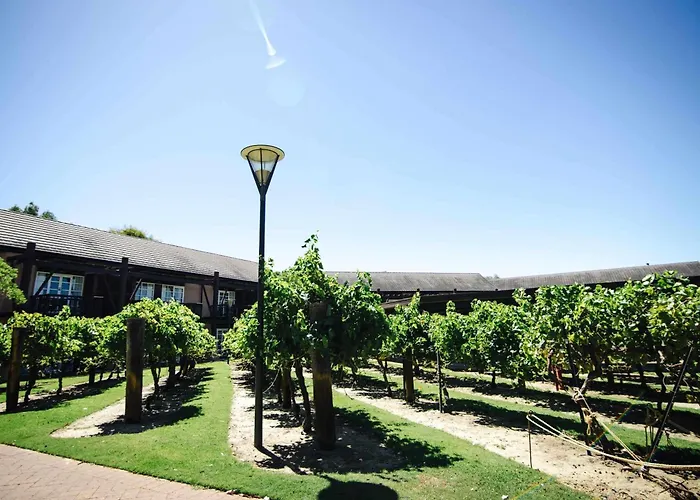 Novotel Vines Resort Swan Valley The Vines