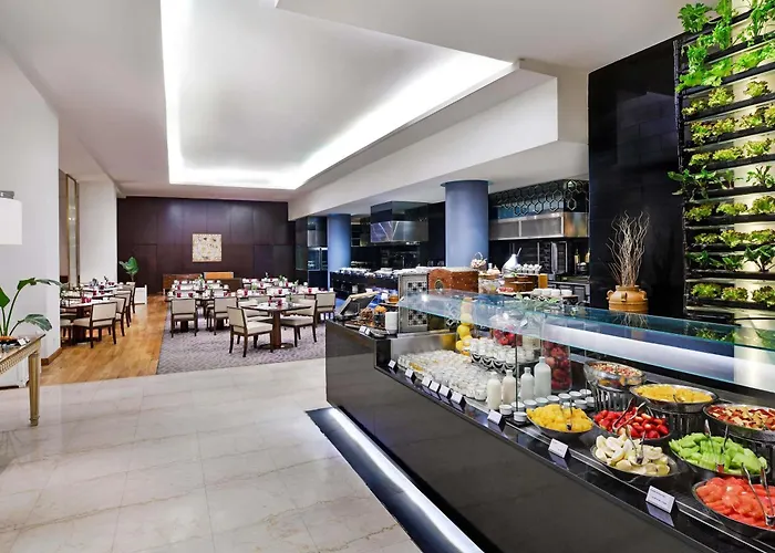 Sofitel Cairo Downtown Nile Hotel