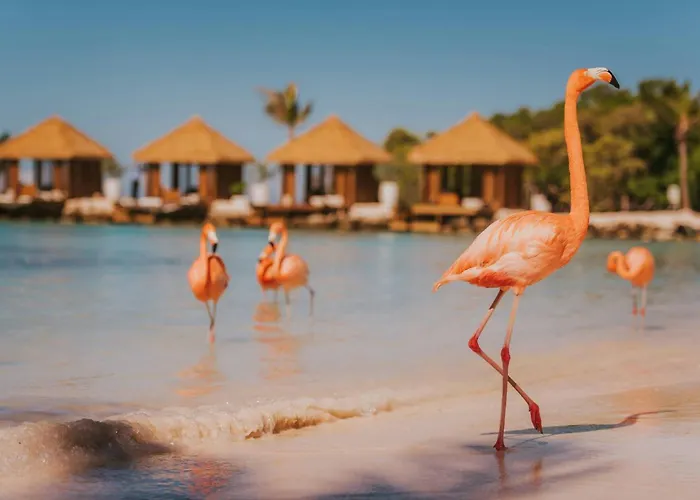 Renaissance Wind Creek Aruba Resort Oranjestad
