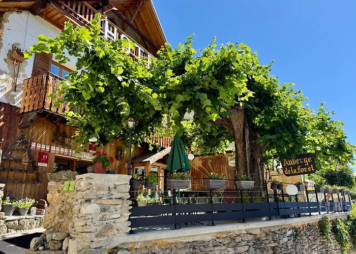 Auberge De La Foret Auris