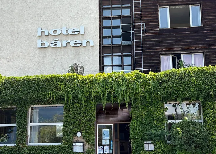 Seehotel Baeren Brienz 