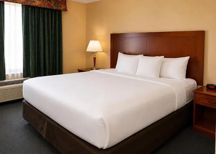 Comfort Inn & Suites Ambassador Bridge Windsor