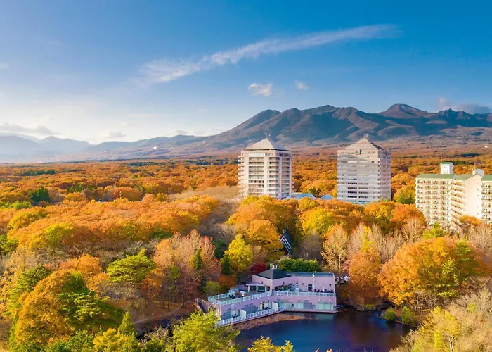 Hotel Epinard Nasu