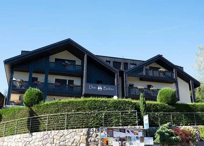 Hotel Drei Birken Oberbozen