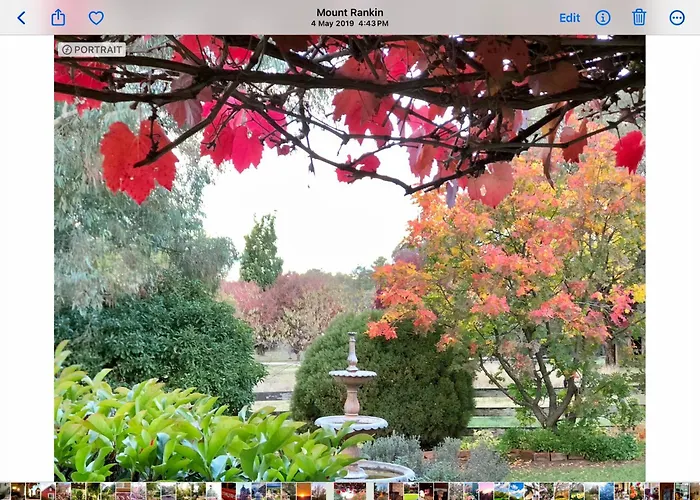 Hawk'S Nest Bed & Breakfast Bathurst