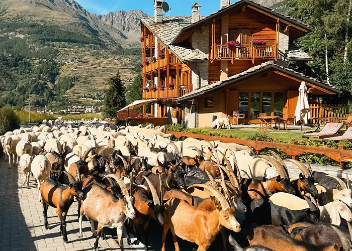 Hotel Le Bouquet Cogne
