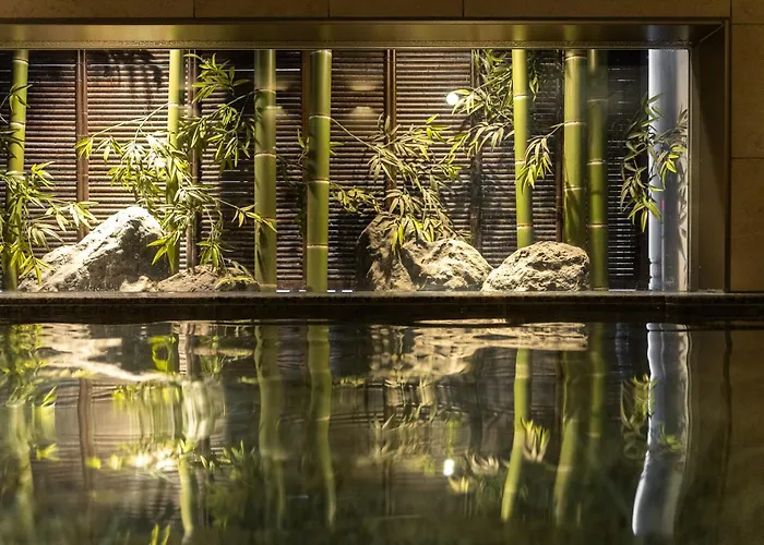 Super Hotel Premier Akasaka Tokio
