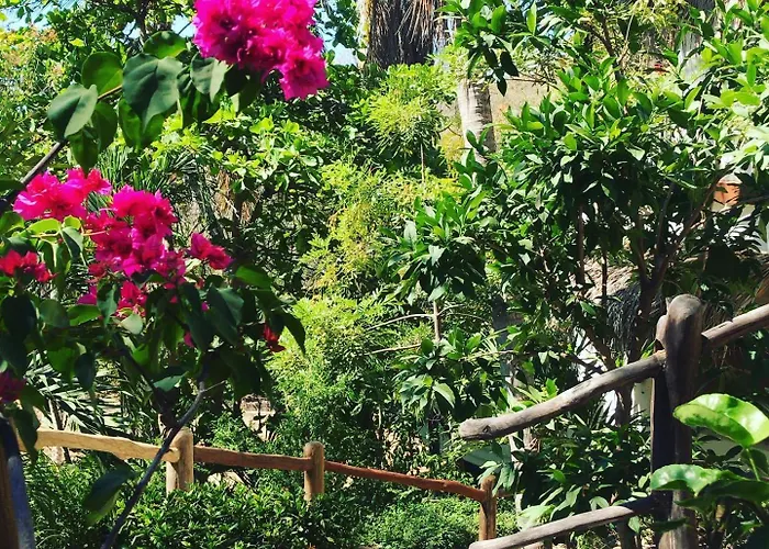 La Buena Vista Hotel Puerto Ángel
