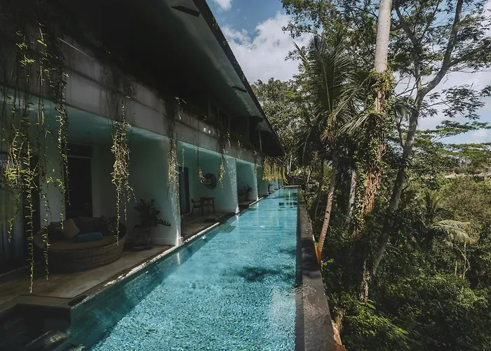 The Hidden Paradise Ubud - Chse Certified