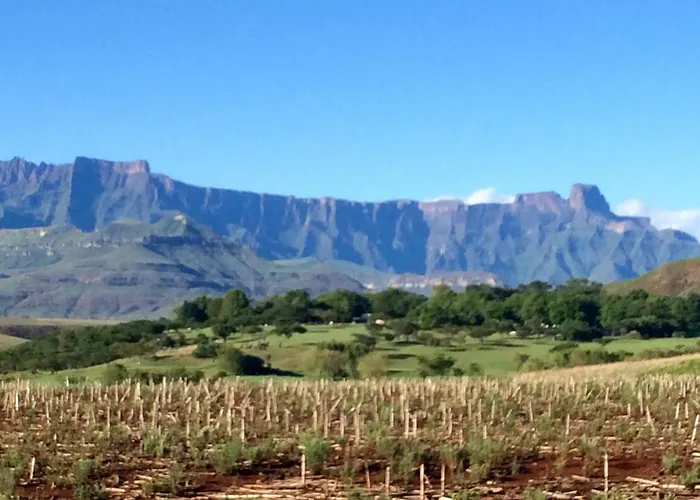 Hlalanathi Drakensberg Resort Bergville