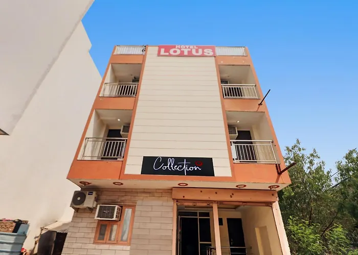 Hotel O Lotus New Delhi