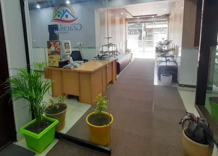 Hotel O By Oyo Graceland Srinagar 