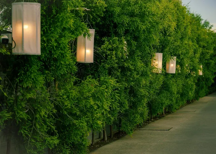 Amiri Place Hotel เชียงใหม่