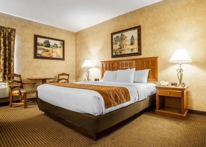 Comfort Inn & Suites Macon