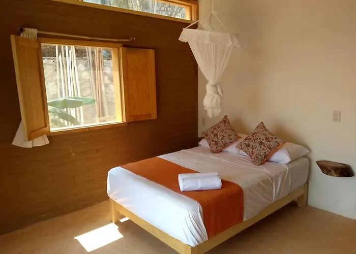 Hotel Casa Axolotl Zipolite San Pedro Pochutla