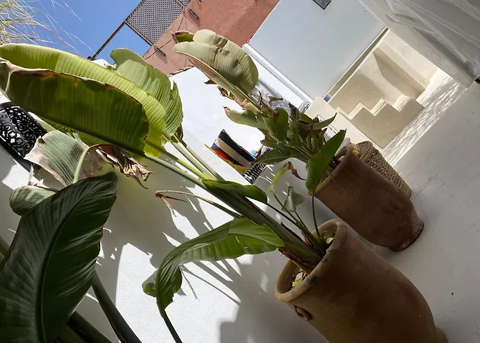 Riad 24 Marrakesh