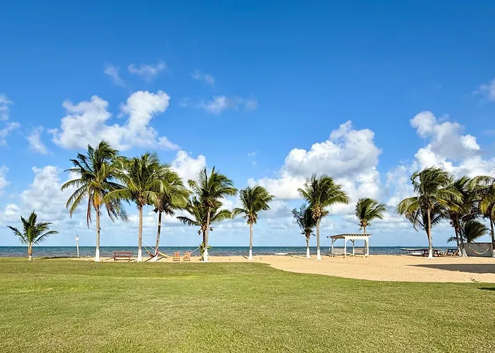 Sunshine Cabanas At Ocean View Dangriga